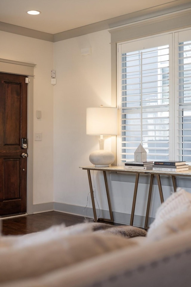 entrance foyer with a wealth of natural light and hardwood / wood-style floors