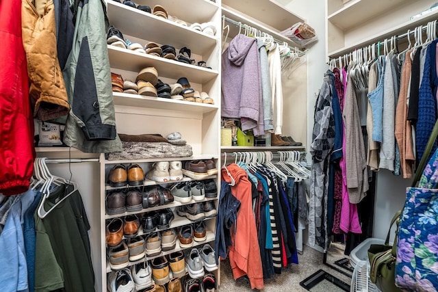 spacious closet featuring carpet flooring