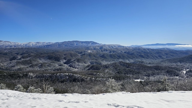 view of mountain feature