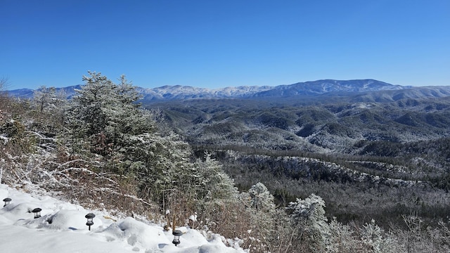 property view of mountains