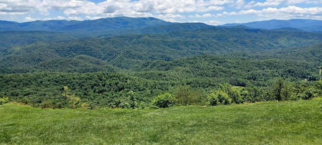 property view of mountains