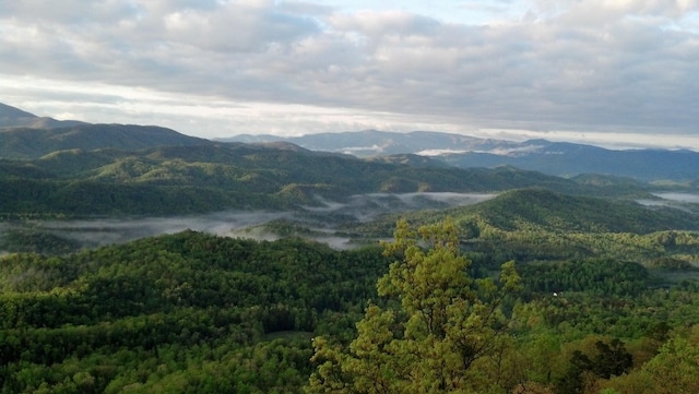 view of mountain feature