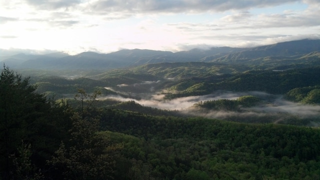 view of mountain feature