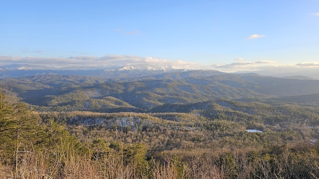 view of mountain feature