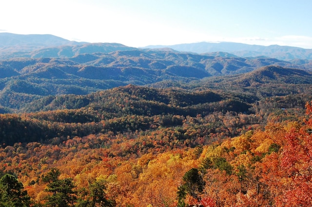 property view of mountains