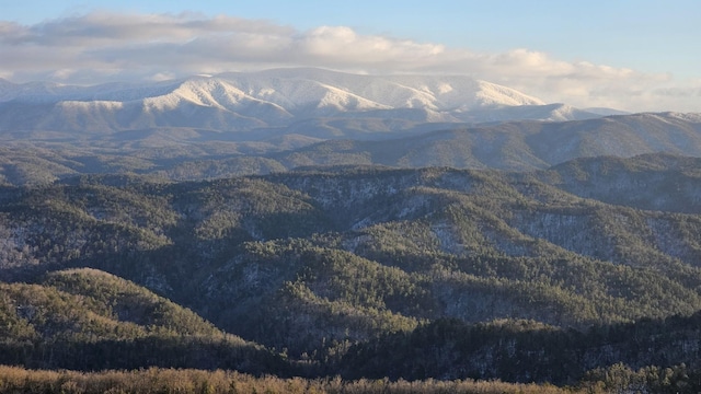 view of mountain feature