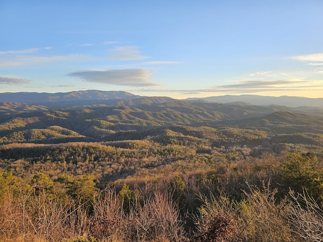 property view of mountains