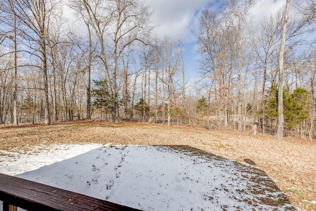 view of yard covered in snow