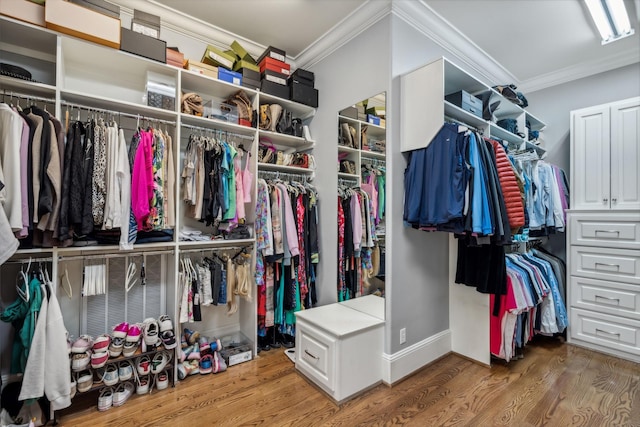 spacious closet with hardwood / wood-style floors