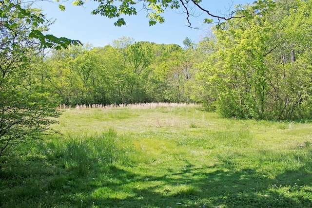 view of nature