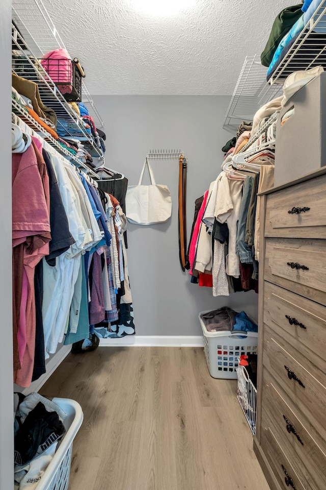 spacious closet with light hardwood / wood-style flooring