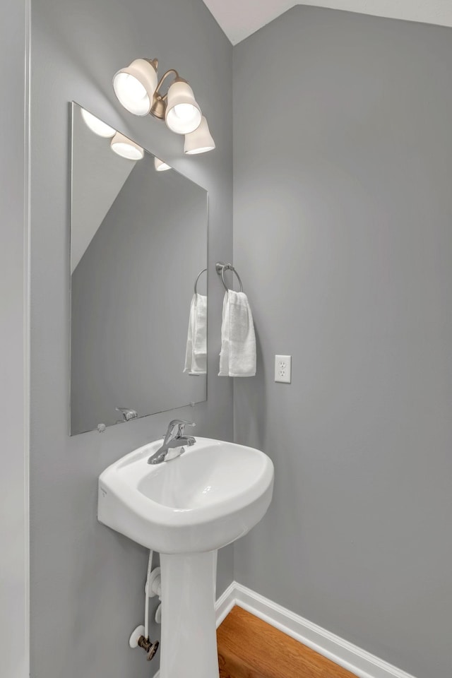 bathroom featuring hardwood / wood-style floors