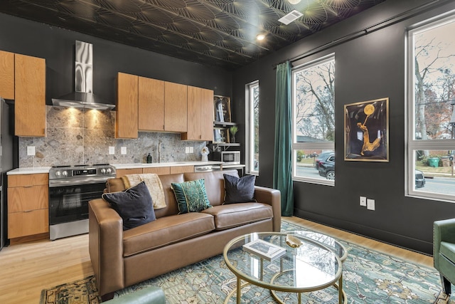 living room featuring sink and light hardwood / wood-style flooring