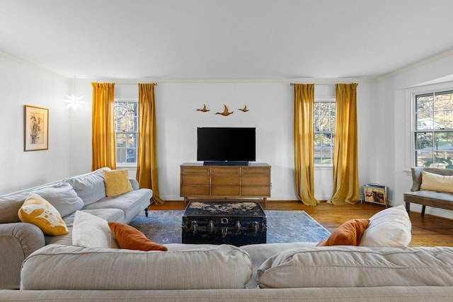 living room with light hardwood / wood-style floors and a wealth of natural light