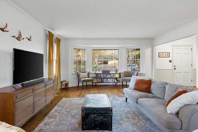 living room featuring dark hardwood / wood-style floors and ornamental molding