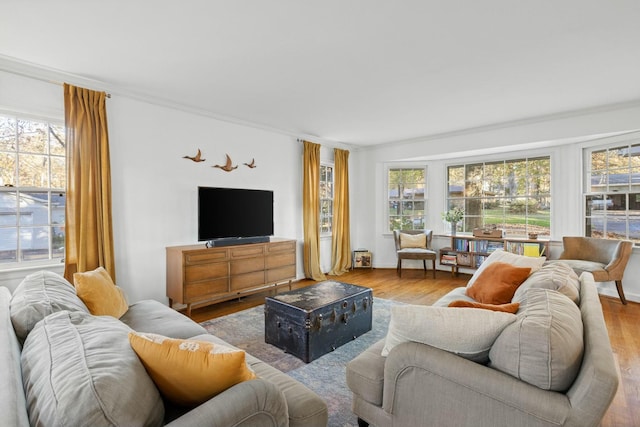 living room with a healthy amount of sunlight, ornamental molding, and light hardwood / wood-style floors