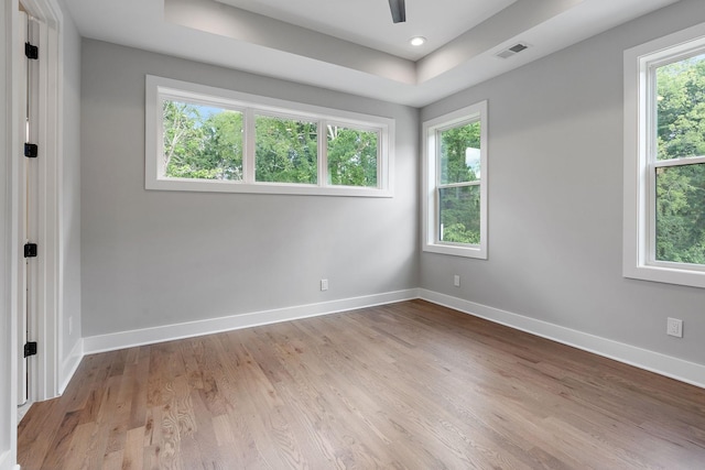 empty room with light hardwood / wood-style floors, a wealth of natural light, and a tray ceiling