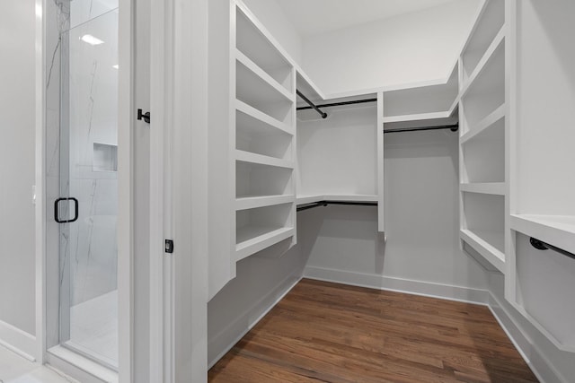 spacious closet with dark wood-type flooring