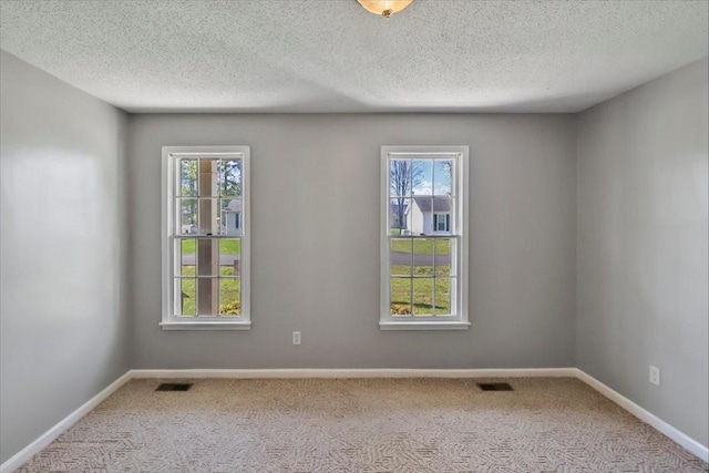 empty room with carpet, a textured ceiling, baseboards, and a healthy amount of sunlight