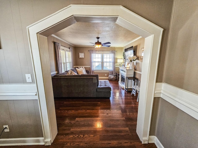 living room featuring ceiling fan, ornamental molding, a fireplace, and dark hardwood / wood-style flooring