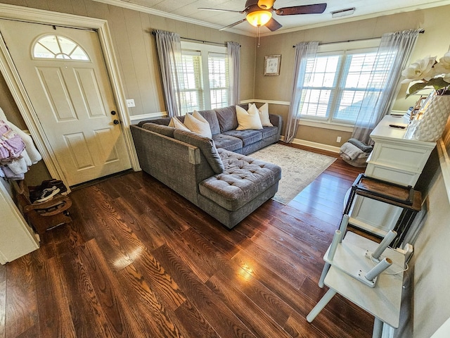 living room with ceiling fan, dark wood-type flooring, a wealth of natural light, and ornamental molding