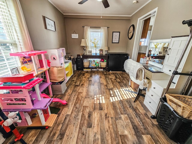 office area with ornamental molding, ceiling fan, and hardwood / wood-style floors