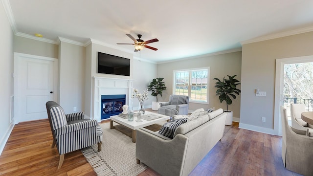 living room with ceiling fan, wood-type flooring, and crown molding