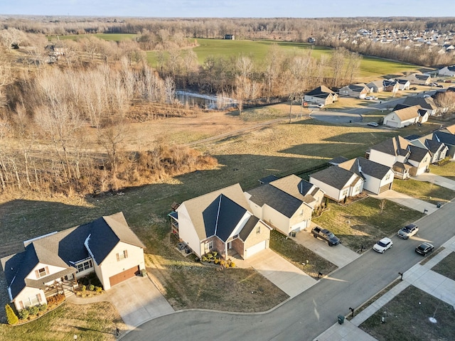 bird's eye view