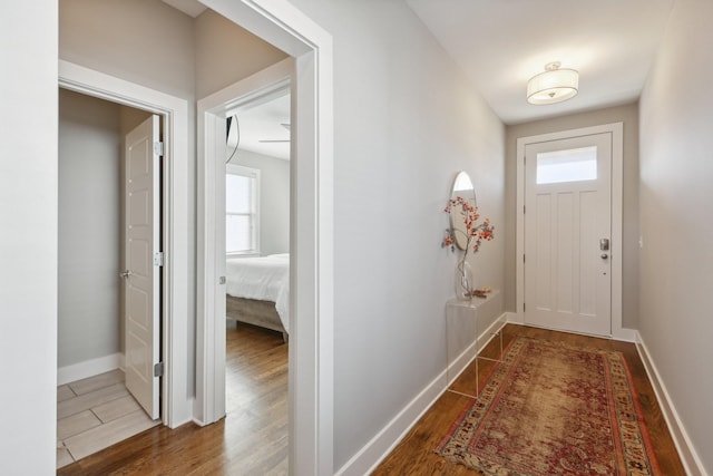 doorway featuring a wealth of natural light and wood-type flooring