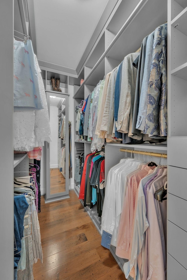 spacious closet with hardwood / wood-style floors