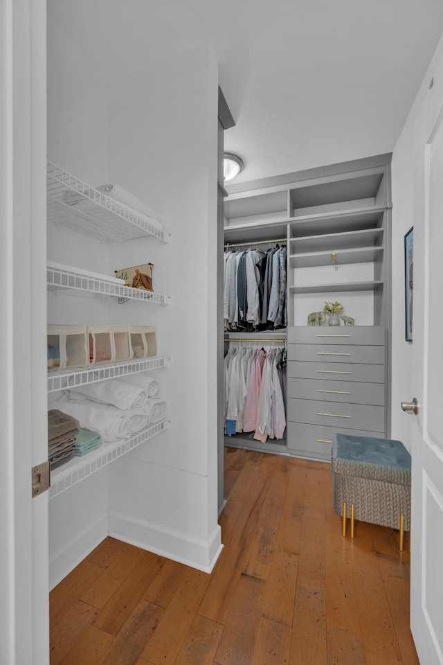 spacious closet with hardwood / wood-style floors