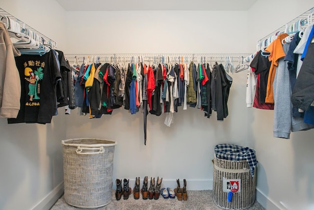 spacious closet with carpet