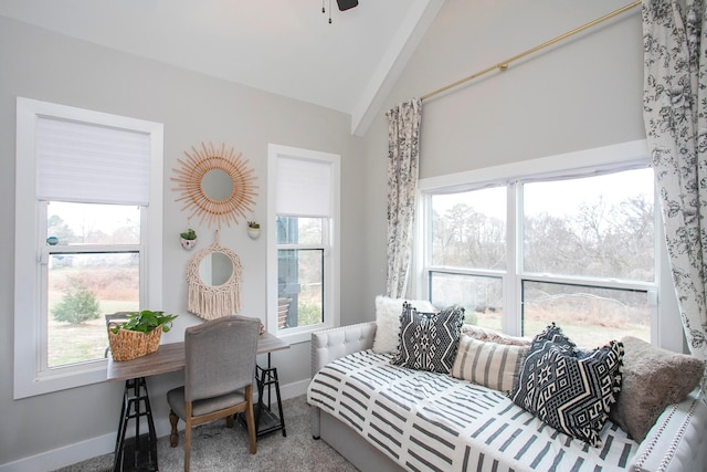 interior space featuring lofted ceiling