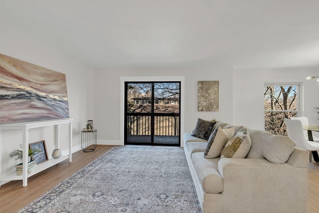 living room with wood-type flooring