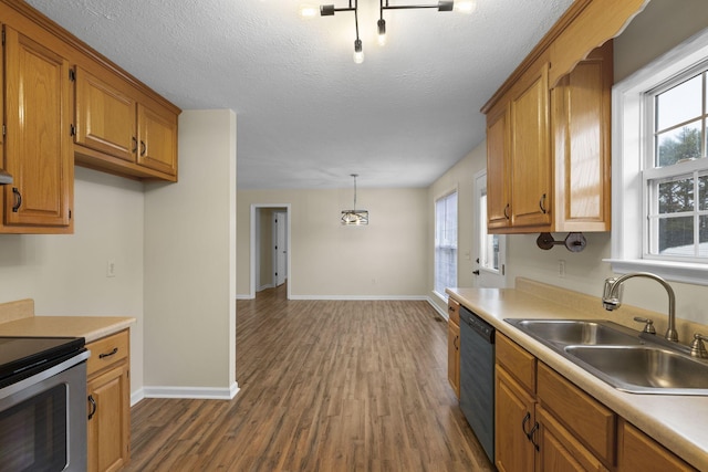 kitchen featuring dishwasher, dark hardwood / wood-style flooring, sink, decorative light fixtures, and plenty of natural light