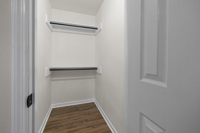 walk in closet with dark wood-type flooring