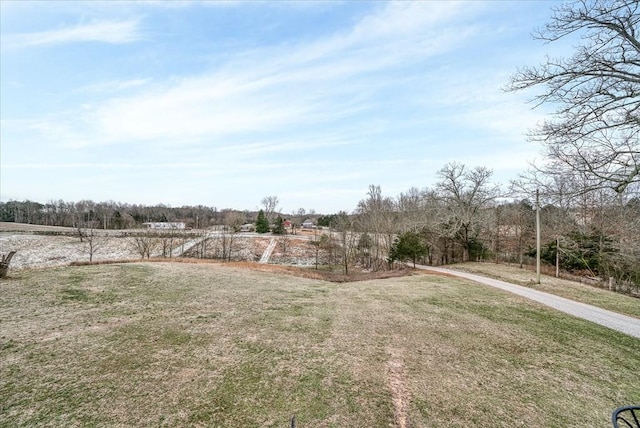 view of yard with a rural view