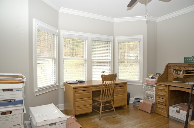 office area with ceiling fan, wood-type flooring, ornamental molding, and a healthy amount of sunlight