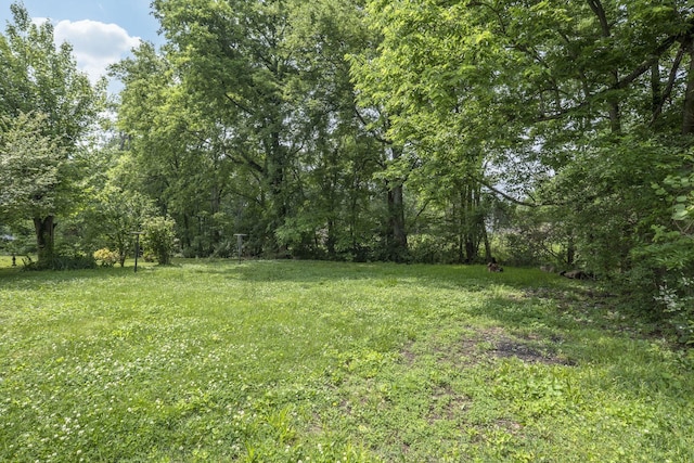 115 Union St, Mount Pleasant, TN 38474 - photo 20
