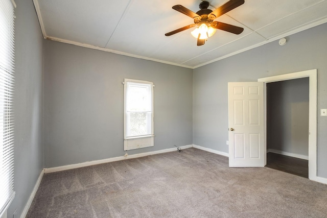 unfurnished bedroom featuring ceiling fan, lofted ceiling, crown molding, and carpet floors