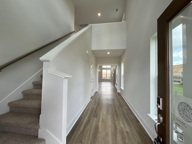 interior space featuring a high ceiling and dark hardwood / wood-style floors