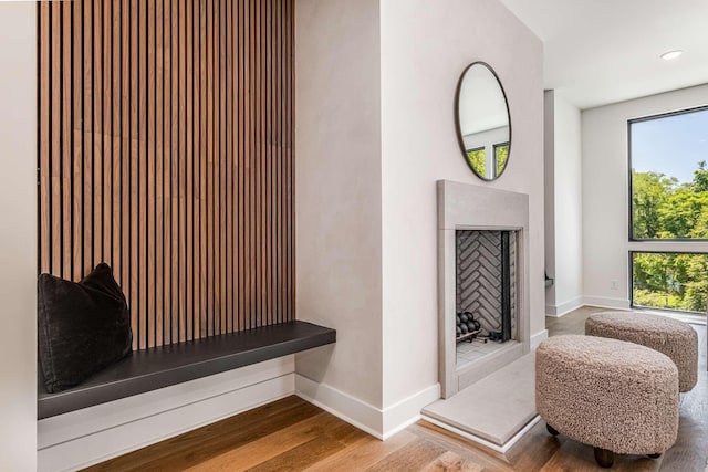 interior space with a fireplace, wood finished floors, and baseboards