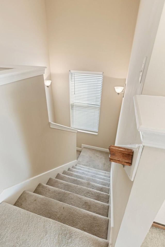 stairs featuring carpet flooring