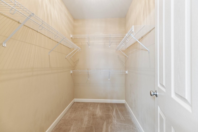 spacious closet with carpet