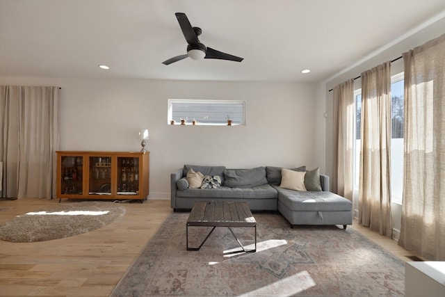 living room featuring ceiling fan and wood-type flooring