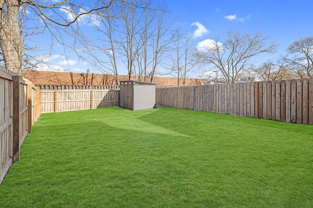 view of yard featuring a storage unit