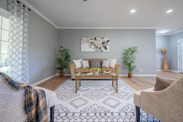 living room with crown molding and wood-type flooring