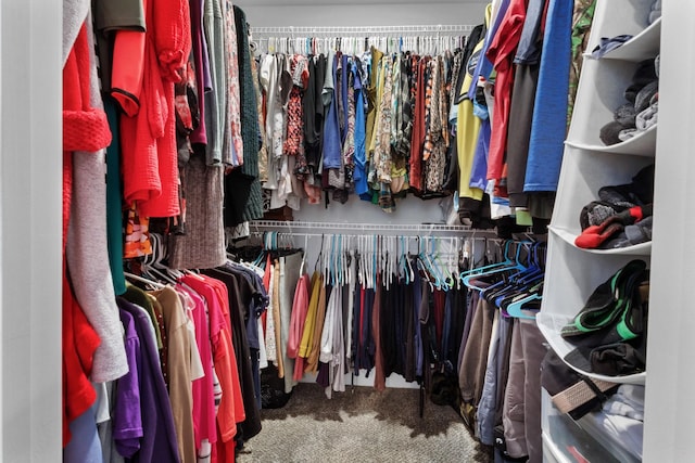 spacious closet featuring carpet