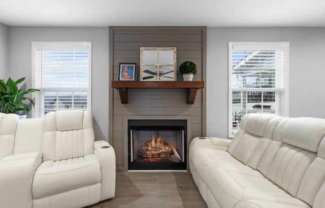 living room with a healthy amount of sunlight and a fireplace