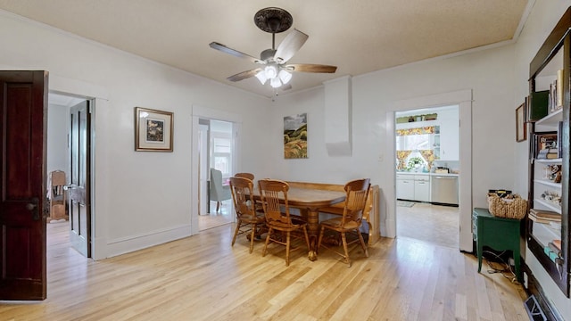 dining space with crown molding, light wood-type flooring, and ceiling fan